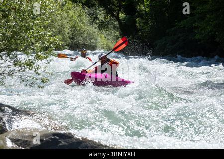 Two kayakers navigate a rushing river surrounded by lush green forest, showcasing the thrill and adventure of watersports in a pristine natural enviro Stock Photo