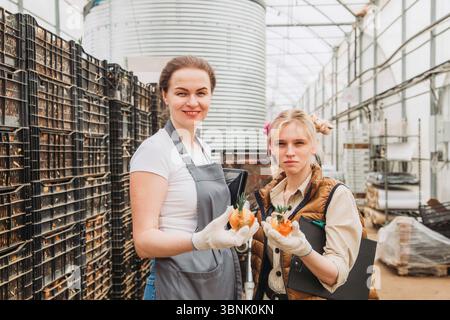 Two greenhouse workers hold produce in an industrial cultivation setting. The image showcases agricultural labor and the environment of modern greenho Stock Photo