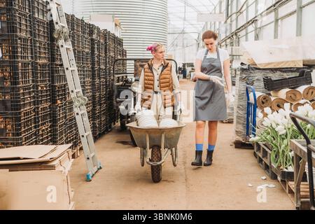 Two greenhouse workers are collaborating in an industrial cultivation environment, managing equipment and materials efficiently for optimal plant prod Stock Photo