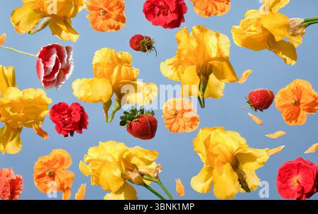 Bright floral and fruit pattern featuring yellow flowers, red carnations, and strawberries on a soft blue background. Fresh and playful summer design. Stock Photo