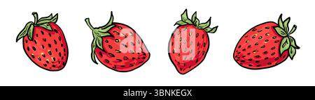 Horizontal row of four individual red strawberries with green tops. Perfect for branding, packaging, stickers, recipe cards, and seasonal designs. Stock Vector