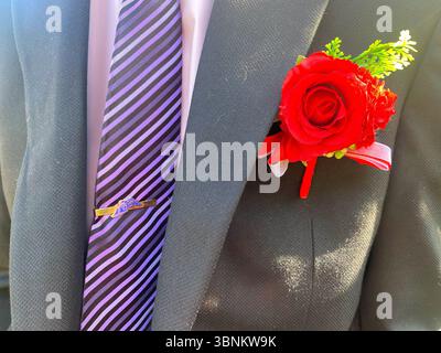 Close up view of a red rose buttonhole worn on a smart grey suit jacket with a purple tie. Stock Photo