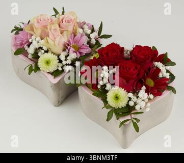 Pink and red roses bloom in a heart box on Valentine's Day Stock Photo