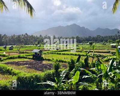 Morning light over the rural farming community in the highland rice fields Stock Photo