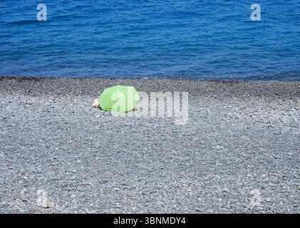 green parasol on a pebbled beach Stock Photo
