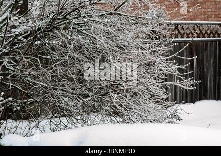 Frozen bushes and icicles on a residential fence after an ice storm with ared  brick wall in the background. Stock Photo
