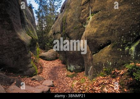Leaf-covered trail winding through towering rock formations in a serene forest Stock Photo