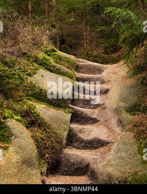 Worn stone stairs leading up a path through a green forest Stock Photo