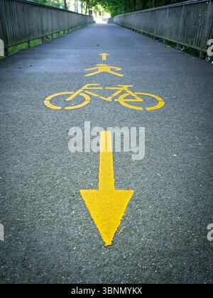 Switzerland, Zurich, footpath and cycle path, yellow road marking Stock Photo