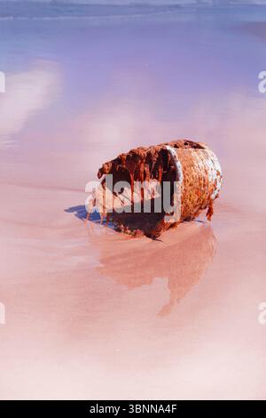 A broken bucket lies on the beach, seaweed Stock Photo