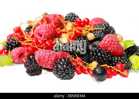 Raspberries, blackberries, blackcurrants, white currants, gooseberries on a white background. Stock Photo