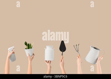 Female hands with gardening tools and plant on beige background Stock Photo