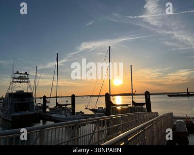 Discover ways how you can luck out today through the lens to inspire you and make the world a better place. Stock Photo