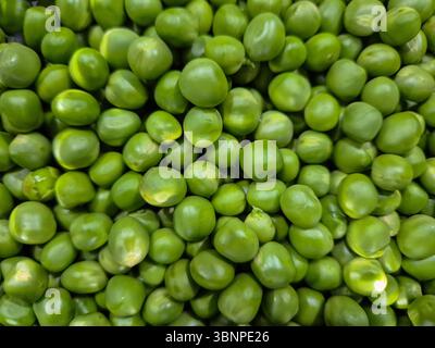A close-up view of freshly picked Green Peas. Stock Photo