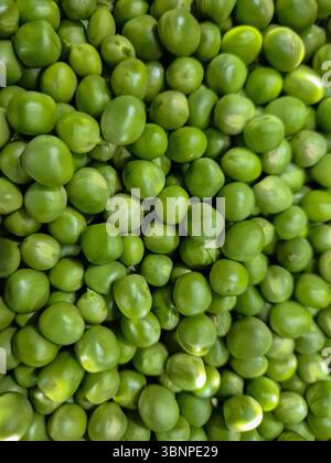 A close-up view of freshly picked Green Peas. Stock Photo
