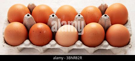Open egg boxes with different eggs on a light background Fresh organic chicken eggs in carton pack or egg container. Top view. Stock Photo