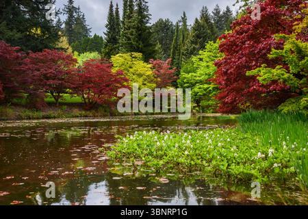 Vibrant fall foliage reflects on calm waters of a serene lake Stock Photo