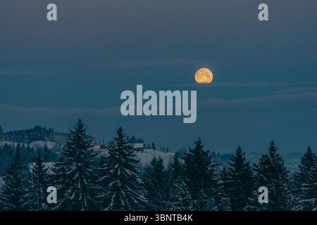 The full moon above the forest of the Olterudelva River, Toten, Norway, in winter. Stock Photo
