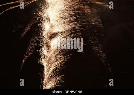 Fireworks. Unusual and creative shots of fireworks in the night sky. Stock Photo