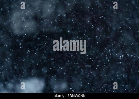 Winter. Falling snow with snowflakes in the background. Stock Photo