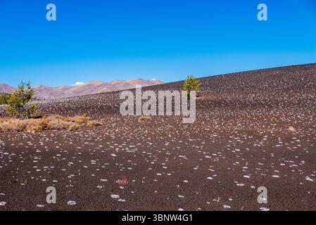 Sparse vegetation growing in lava rock fields with cinder cones and mountains under a clear blue sky in Craters of the Moon National Monument and Pres Stock Photo