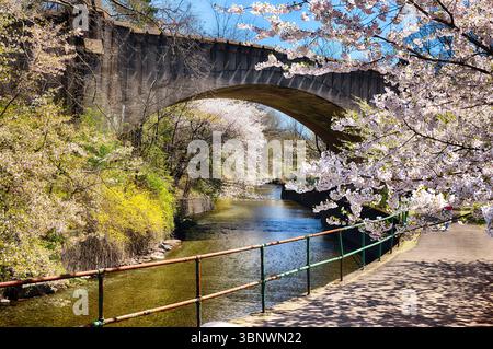 View of the Second River During Spring Bloom, Branch Brook Park, Newark, New Jersey Stock Photo