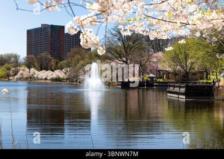 View of the Prudential Art Plaza, with Sculptures and a Water Fountain During Cherry Blossom, Branch Brook Park, Newark, Essex County, New Jersey, USA Stock Photo