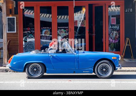 Classic car 1969 MG Midget mark 2, elderly man sitting in drivers seat with his dog in the passenger seat, parked in Bowral, NSW,Australia Stock Photo