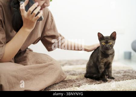 Young woman playing with cat. Happy tabby cat resting on the couch in home Stock Photo