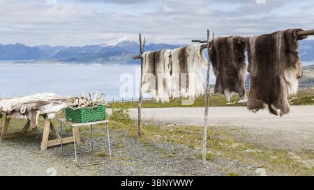 Reindeer fur and antlers at a souvenir shop in Lapland, Noorwegen Stock Photo