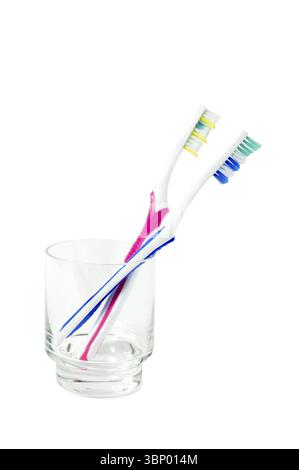 two toothbrushes in bowl isolated on white background Stock Photo - Alamy