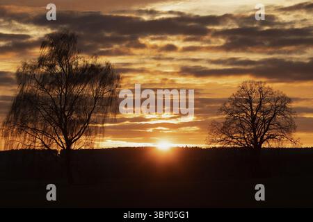 Rising yellow sun with rays between two trees against a reddish-brown sky and tree backdrop, Grossmuss, Bavaria, Germany, Europe Stock Photo