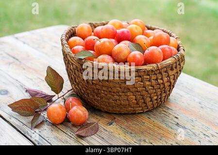 Basket with plums hi-res stock photography and images - Alamy