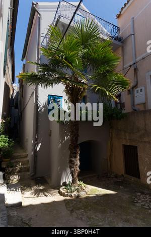 A sun-dappled alleyway in a Mediterranean town, featuring a vibrant palm tree, traditional stone buildings, and an arched entrance. Stock Photo