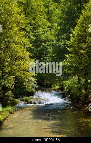 A tranquil river flows through a lush green forest, cascading over small waterfalls, creating a serene and picturesque natural scene. Stock Photo