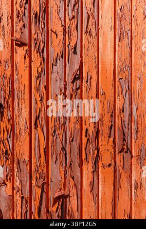 Flaky orange paint on an old wooden door boards Stock Photo