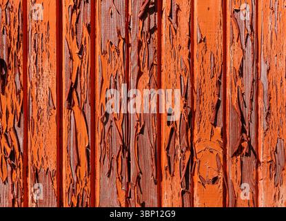 Old orange cracked paint flaking off from wooden boards Stock Photo