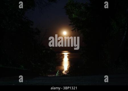 Full red moon over the sea. Stock Photo