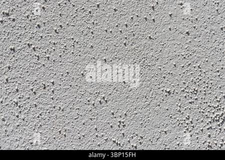 A close-up shot of a textured, off-white wall surface with a consistent bumpy pattern across the entire frame. Stock Photo
