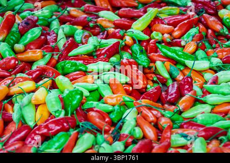 Panama, May 19th, 2014: Tropical Colorquake: When Peppers Take Over Panama’s Countryside Markets Stock Photo