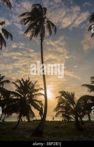Setting sun behind a tall palm tree and some people on the beach on an island in the San Blas Archipelago, Panama. Stock Photo