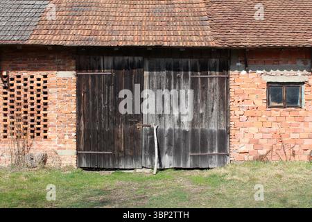 Aged wooden barn doors with visible grain and patina stand against a wall of red bricks and clay tiles, featuring a stick as a makeshift lock Stock Photo