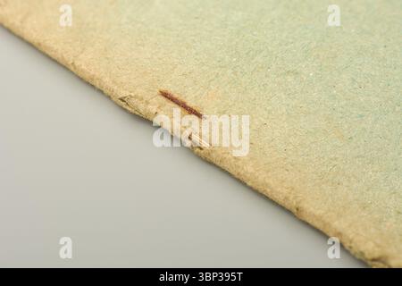 close-up of damaged and heavily rusted stapler pin of old book binding, torn and frayed old paper or cardboard book cover in soft focus and copy space Stock Photo
