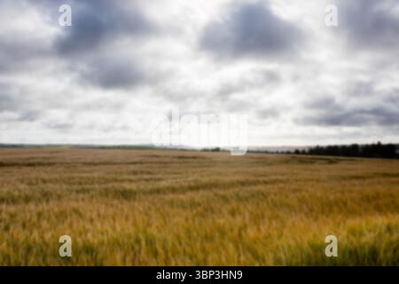 Grassy landscape against cloudy sky Stock Photo