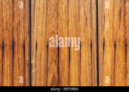 Vertical wooden planks display rich, warm brown tone with grain patterns, enhanced by dark lines between panels and small, evenly spaced black nails. Stock Photo