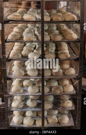 Fresh trays of donuts set to rise prior to frying in hot oil at a Jerusalem, Israel bakery. Stock Photo