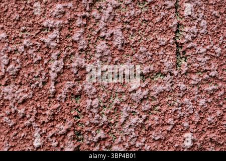 Abstract, background, closeup of a pink and red, textured stucco wall. Stock Photo