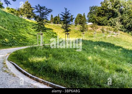 The "Serpentine" on the sunny grassy slope of the Arenenberg, with young fruit trees and a curved gravel path in Arenenberg, Salenstein, Thurgau, Switzerland. Poplars originally grew here Stock Photo