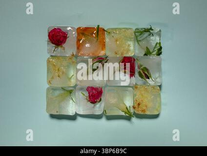 Creative arrangement of colorful flowers in ice cubes on blue background. Sunny day concept. Stock Photo