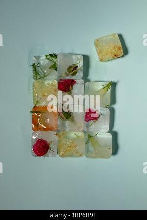 Creative arrangement of colorful flowers in ice cubes on blue background. Sunny day concept. Stock Photo
